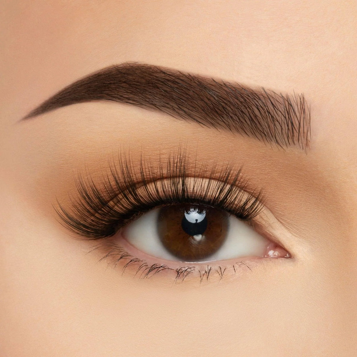 SILK LASHES