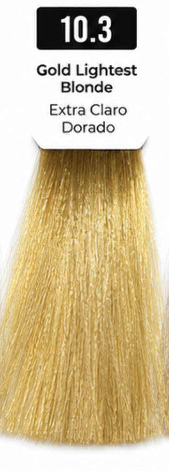 Evoque Professional Hair Color Cream
