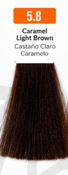 Evoque Professional Hair Color Cream