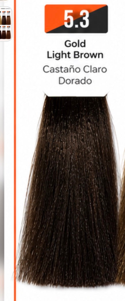 Evoque Professional Hair Color Cream
